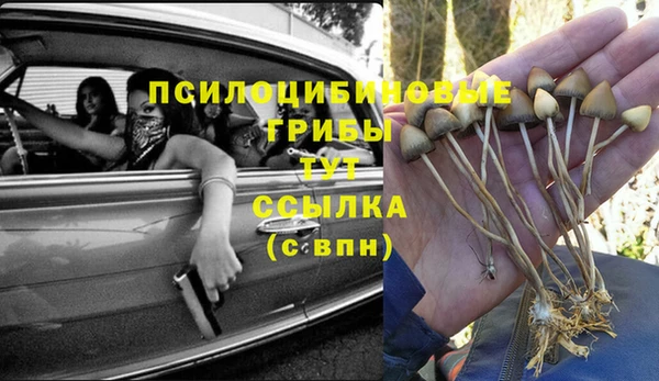 spice Мегион