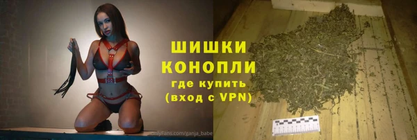 соль ск Медвежьегорск