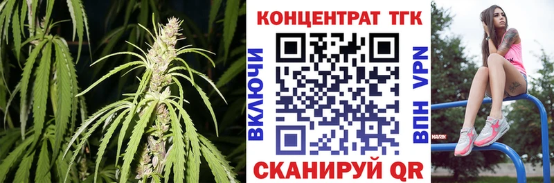 Купить где  Данков  ТГК гашишное масло 