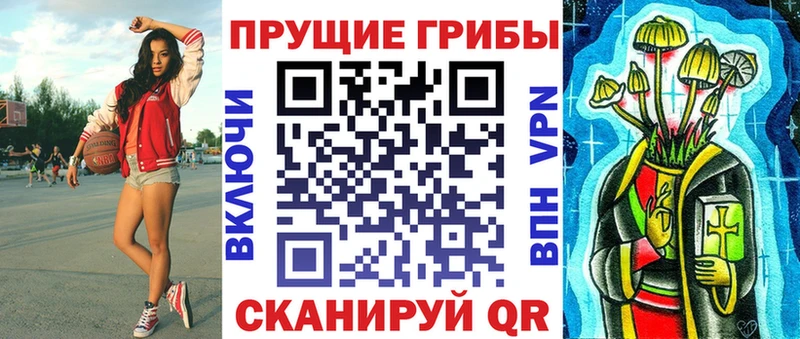 Купить закладки  Данков  Галлюциногенные грибы Psilocybe 